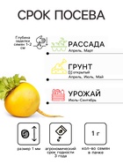Семена Репа "Бабка", 1 г - Фото 2
