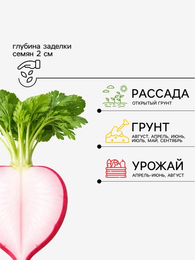 Семена Редис «16 дней», 2 г, «Агрофирма АЭЛИТА»