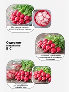 Семена Редис «16 дней», 2 г, «Агрофирма АЭЛИТА» - Фото 3