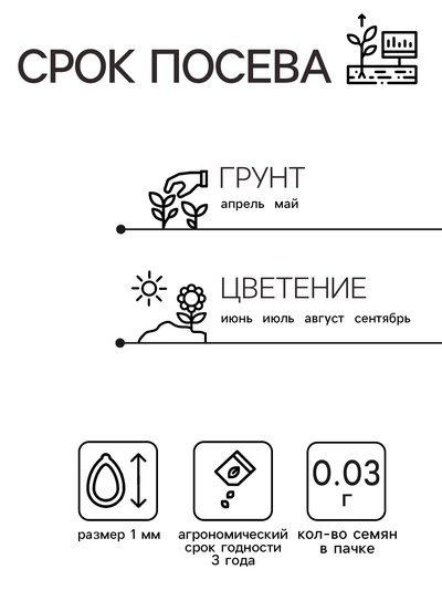 Семена цветов Немезия «Звездный путь», смесь окрасок, однолетник, 0.03 г, «Аэлита»