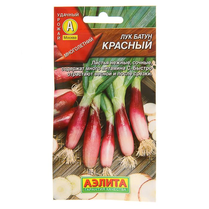 Семена Лук батун "Красный", 0,3 г - Фото 1