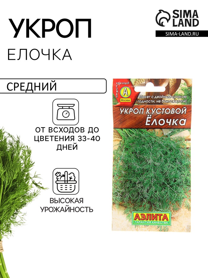 Семена Укроп "Елочка" кустовой, 3 г - Фото 1