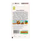 Семена Укроп "Елочка" кустовой, 3 г - Фото 4