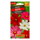 Семена цветов Космос "Вега" карликовый, смесь окрасок, О, 0,3 г - Фото 1