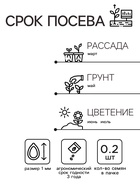 Семена цветов Маттиола Левкой "Букетная", смесь окрасок, О, 0,2 г - Фото 2