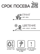 Семена цветов Настурция «Райские птицы», смесь окрасок, 1 г, однолетник, «Аэлита» - Фото 2