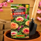 Семена цветов Капуста декоративная "Крейн биколор F1", смесь окрасок, О, 7 шт - Фото 3