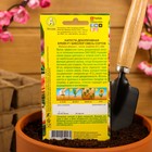 Семена цветов Капуста декоративная "Крейн биколор F1", смесь окрасок, О, 7 шт - Фото 4