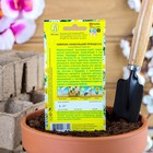 Семена цветов Ромашка садовая "Принцесса", 0,2 г - Фото 2