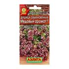 Семена Душица обыкновенная «Медовый аромат», 0.05 г - Фото 2