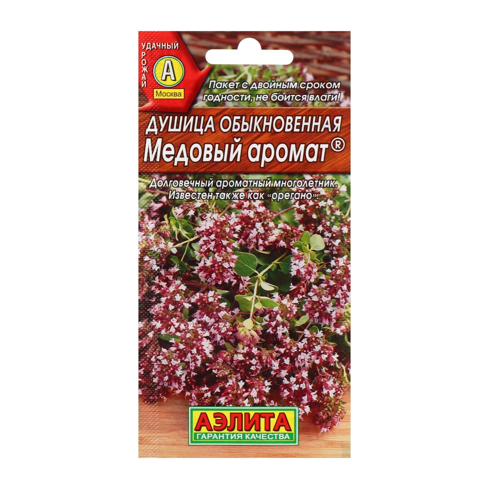 Как выглядят семена душицы Как выглядят семена душицы