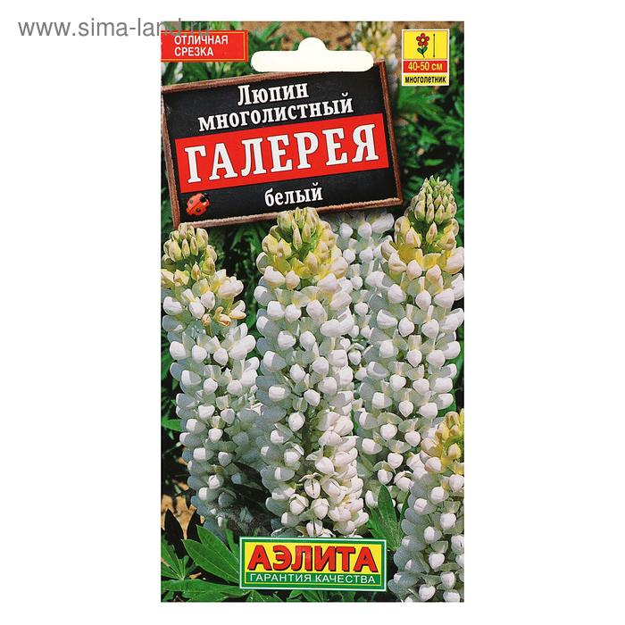 Семена цветов Люпин "Галерея", 0,3 г - Фото 1