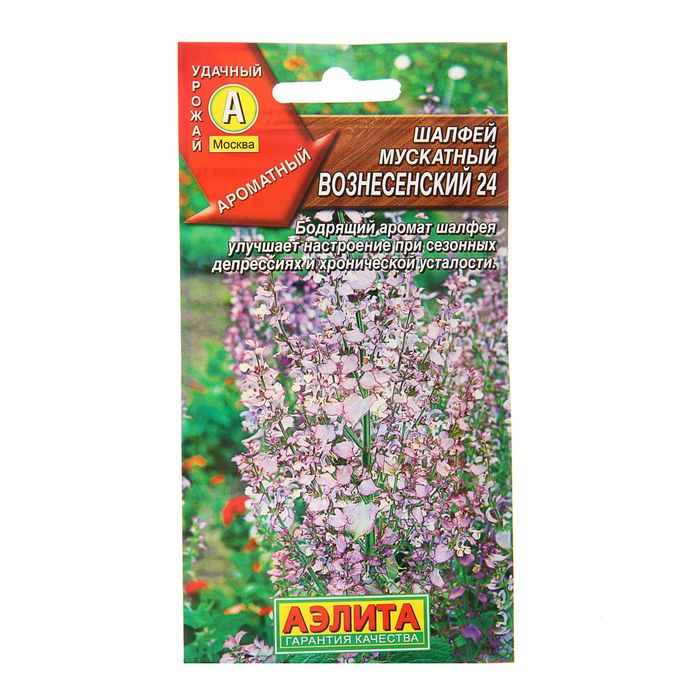 Семена Шалфей мускатный "Вознесенский 24", 0,2 г - Фото 1
