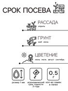 Семена цветов Цинния «Шаровидная», смесь окрасок, однолетник, 0.5 г, «Аэлита» - Фото 2