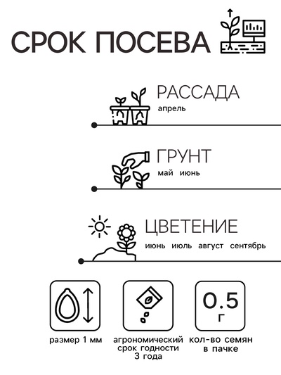 Семена цветов Цинния «Шаровидная», смесь окрасок, однолетник, 0.5 г, «Аэлита»