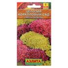Семена цветов Целозия гребенчатая "Коралловый сад", смесь окрасок, О, 0,2 г - фото 11875385