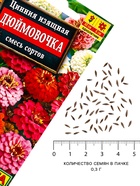 Семена цветов Цинния изящная «Дюймовочка», смесь сортов, 0.3 г - Фото 4