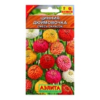Семена цветов Цинния изящная «Дюймовочка», смесь сортов, 0.3 г - Фото 7