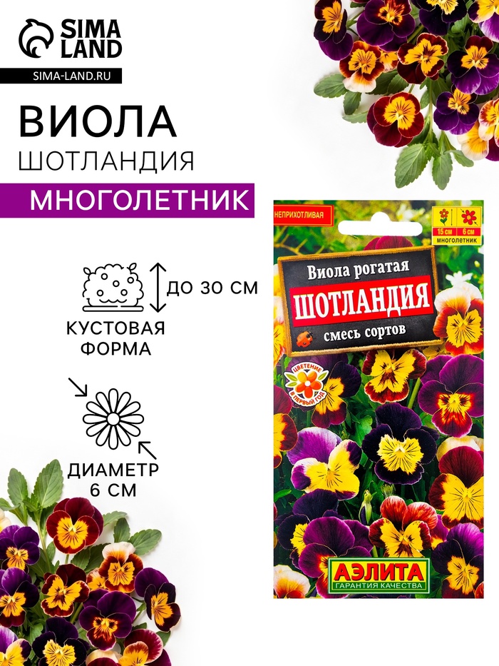 Семена цветов Виола «Шотландия», 0.1 г, «АЭЛИТА» - Фото 1