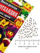 Семена цветов Виола «Шотландия», 0.1 г, «АЭЛИТА» - Фото 4