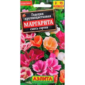 Семена  цветов Годеция 'Маргарита', смесь окрасок, О, 0,2 г