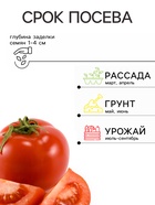 Семена Томат балконный «Балконное чудо», детерминантный, низкорослый, 20 шт., «Агрофирма АЭЛИТА» - Фото 2