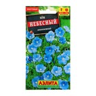 Семена цветов Лен многолетний "Небесный", Мн, 0,5 г - Фото 3