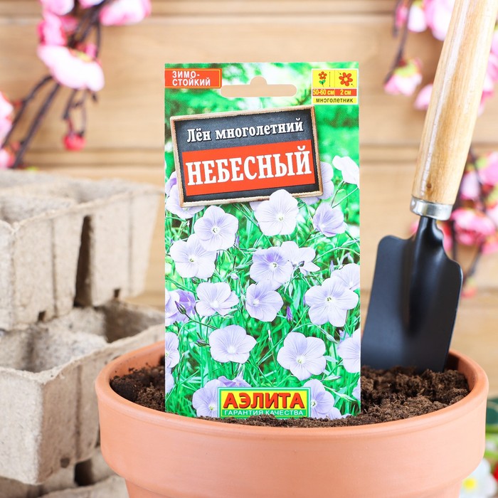 Семена цветов Лен многолетний "Небесный", Мн, 0,5 г - Фото 1
