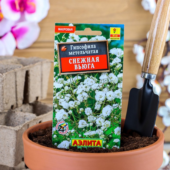 Семена цветов Гипсофила "Снежная вьюга", 0,05 г - Фото 1