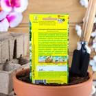 Семена цветов Гипсофила "Снежная вьюга", 0,05 г - Фото 2