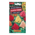 Семена цветов Целозия перистая "Пампас Плюм", смесь окрасок, О, 0,3 г - Фото 1