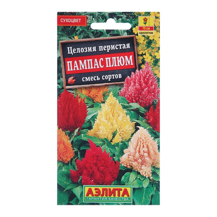 Семена цветов Целозия перистая "Пампас Плюм", смесь окрасок, О, 0,3 г - Фото 1