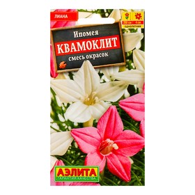 Семена цветов Ипомея 'Квамоклит', смесь окрасок, О, 0,5 г