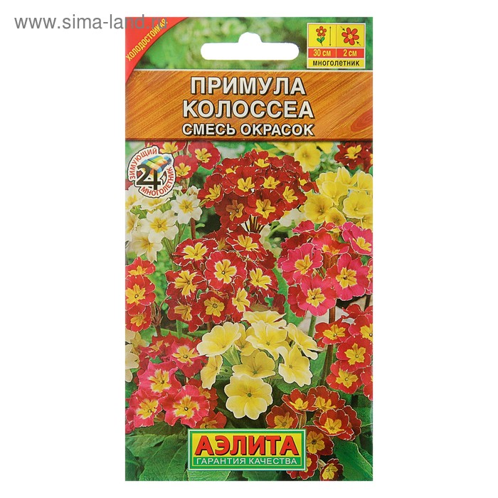 Семена цветов Примула "Колоссеа", смесь окрасок, Мн, 0,05 г - Фото 1