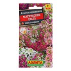 Семена цветов Алиссум "Магические цвета", смесь окрасок, О, 0,03 г - Фото 3