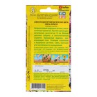 Семена цветов Алиссум "Магические цвета", смесь окрасок, О, 0,03 г - Фото 4