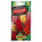 Семена цветов Львиный зев "Бразильский карнавал", смесь окрасок, О, 0,1 г - Фото 5