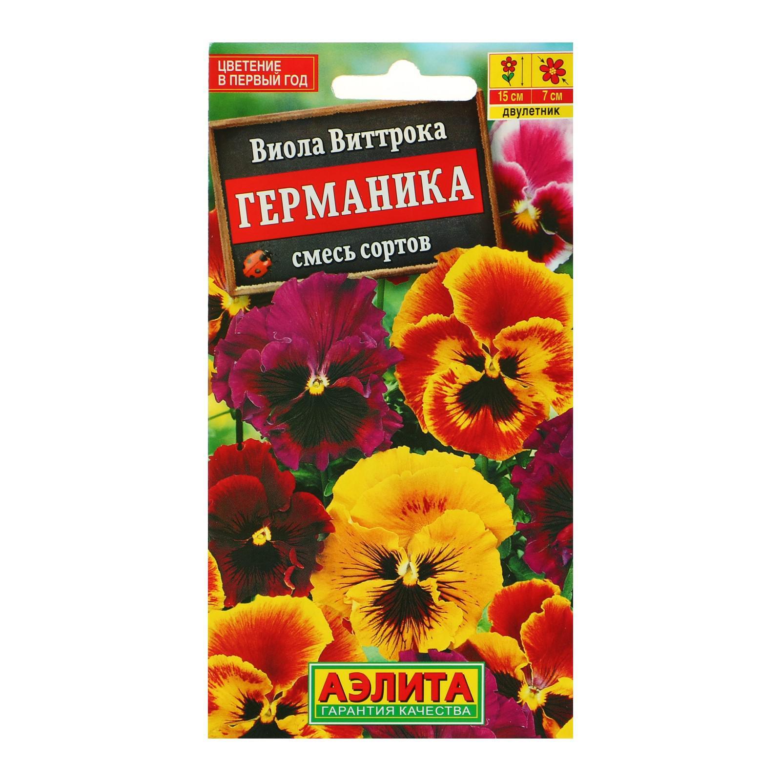 Семена Виолы Купить В Интернет Магазине
