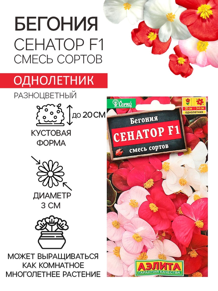 Семена цветов Бегония вечноцветущая "Сенатор F1", смесь, О, 10 шт - Фото 1