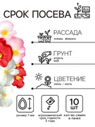 Семена цветов Бегония вечноцветущая "Сенатор F1", смесь, О, 10 шт - Фото 2