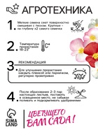 Семена цветов Бегония вечноцветущая "Сенатор F1", смесь, О, 10 шт - Фото 4