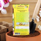 Семена цветов Василек "Конфетти", смесь окрасок,О, 0,3 г - Фото 4