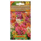 Семена цветов Львиный зев "Крупноцветковый", смесь окрасок, О, 0,3 г - Фото 1