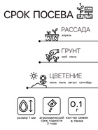 Семена цветов Портулак махровый "Веселый хоровод", смесь окрасок, О, 0,1 г - Фото 2