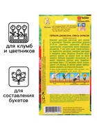 Семена комнатных цветов Гербера Джемсона «Смесь окрасок», «Агрофирма АЭЛИТА», 0.04 г - Фото 5