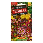Семена цветов Примула "Ушковая", смесь окрасок, Мн, 0,02 г - фото 11875526