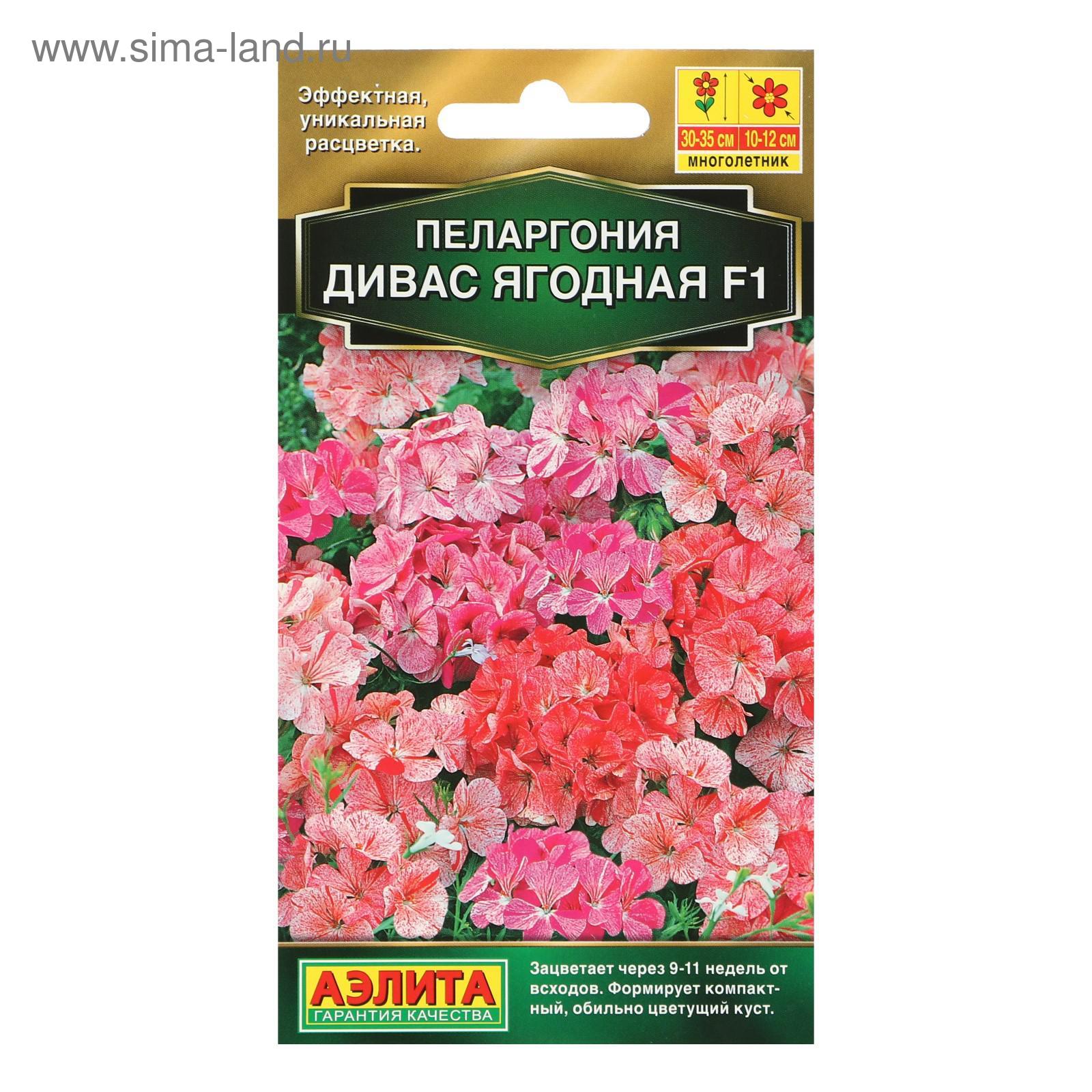Купить Семена Пеларгонии Аэлита