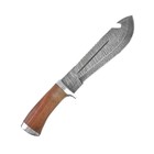 Нож нескладной "Сталкер" СТ-25, г.Павлово, дамасская сталь, рукоять-ЦПД+2 литья - Фото 2