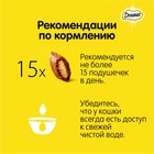 Лакомство Dreamies для кошек, лосось, 60 г - Фото 6