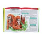 Большая детская энциклопедия животных - Фото 3